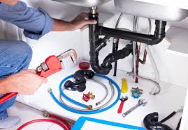 Best Commercial Plumbing Services  in Rosemount, MN